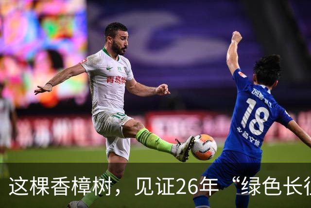 这棵香樟树，见证26年“绿色长征”